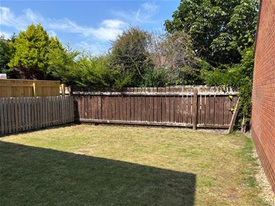 Picture 12